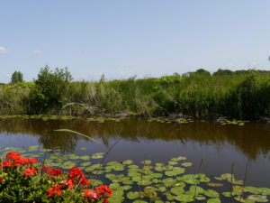 Blick aus dem Garten Bloummhoeske hinaus in die Landschaft