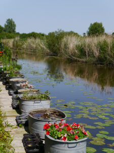 Blick aus dem Garten Bloummhoeske hinaus in die Landschaft