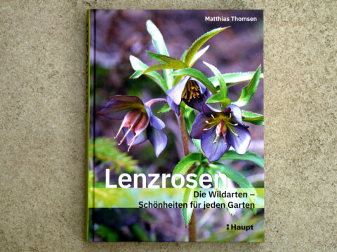 Cover vom Buch: Lenzrosen, die Wildarten - Schönheiten für jeden Garten