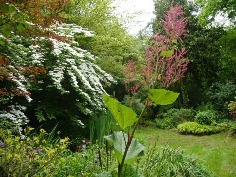 Im Waldgarten Etzel