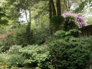 Im Waldgarten Etzel