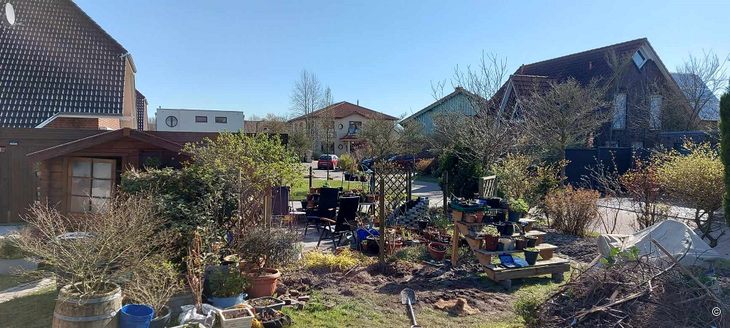 Im Garten Ulrike Koska, Aurich, 7 Wochen vor meinem Besuch!