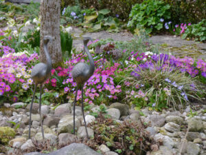 Lenzrosen, Krokusse und Primeln vereint im Frühlingsbeet in Wurzerlsgarten