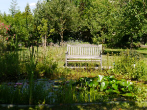 Eine kleine Bank am Teichrand im Garten Schlegelmilch