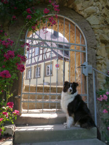 Tessa verabschiedet uns am Mauertor im Garten Schlegelmilch