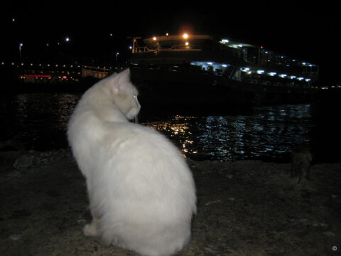 Meltem, die Brise, erwartet mich in Karaköy am Goldenen Horn.