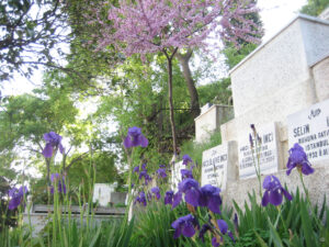 Reiche Muslime ließen sich möglichst nahe der Eyüp Sultan Moschee bestatten.