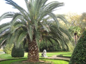 Im Park des Beylerbeyi Palastes in Instanbul