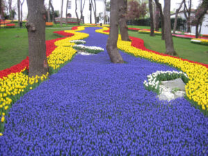 Tulpen im Emirgan-Park, Emirgân Korusu, Sarıyer-Viertel, April zum Lale-Festival