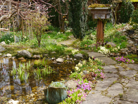 Am Teich und Bach in Wurzerlsgarten