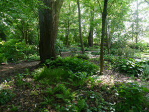 Im Schattengarten von Tuingoed Foltz