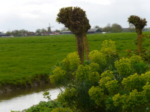 Tuin Annie-Evie Beukema & Wim Pastoor, Zuidhorn