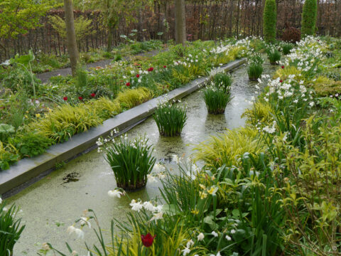 Das formale Becken in Tuinfleur