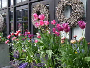 Frühling pur im Eingangsbereich von Tuinfleur.