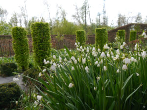 Im weißen Garten von Tuinfleur