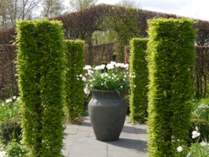 Im weißen Garten von Tuinfleur