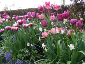 Im Rondellgarten von Tuinfleur