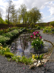 Der große Teichgarten in Tuinfleur