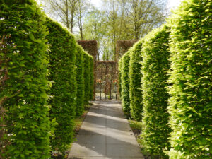 Im Heckengarten von Tuinfleur