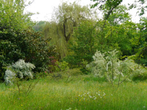 Heale House Gardens