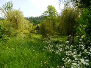 Heale House Gardens