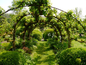 Der Apfeltunnel von Heale Garden