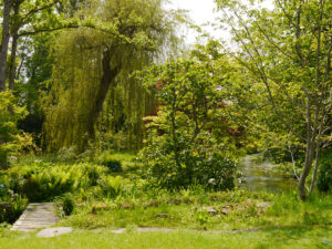 Im Japanischen Wassergarten von Heale Garden