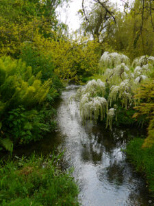 Im Japanischen Wassergarten von Heale Garden