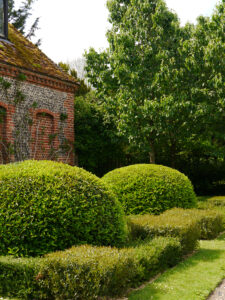 Heale Garden