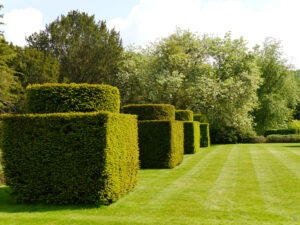 Formaler Garten und Crocket Lawn in Heale Garden