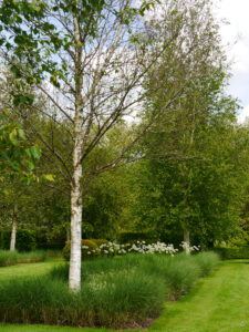 Long Border von Heale Garden