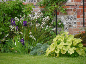 Beet an der Hauswand von Heale Garden