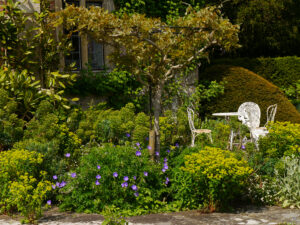 Terrasse von Heale Garden