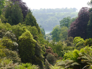 Trebah Garden, mein erster "Cornischer Garten" in Cornwall