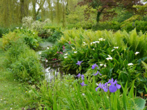 Im japanischen Wassergarten von Heale Garden