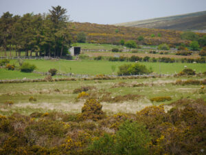 Der Nationalpark Dartmoor, einer der landschaftlichen Besonderheiten in Südengland