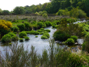 Der Nationalpark Dartmoor, einer der landschaftlichen Besonderheiten in Südengland