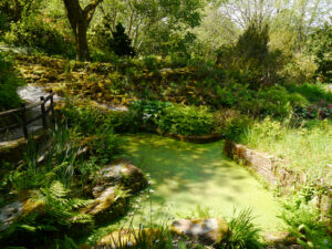 The Garden House in Devon