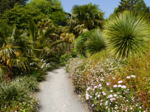 Trebah Garden, mein erster "Cornischer Garten" in Cornwall