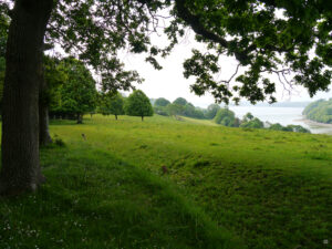 Trelissick Garden, Cornwall, Blick vom HaHa des Gartens hinaus in die Landschaft