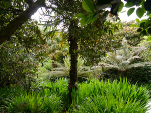 The Lost Gardens of Heligan , Mevagissey , Cornwall