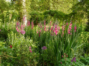 The Peto Gardens, Iford Manor , Bradford on Avon , Wiltshire