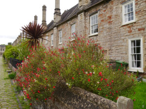 Vicars Close , Wells , Somerset