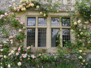 Mottisfont Abbey Rose Garden NT, Romsey, Hampshire