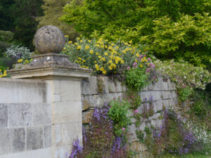 Die Mauer zwischen Straße und Peto Garden