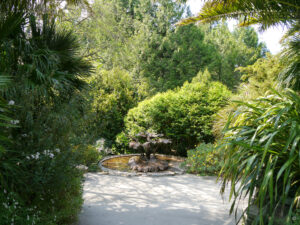 Der Gunnera-Brunnen im Eingangsbereich des Trebah Garden