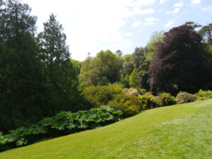 Der Rasenweg mit Blick nach unten in Trebah Garden