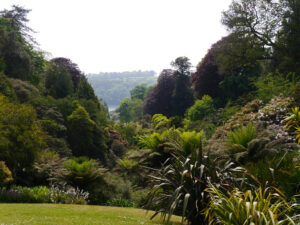 Der Rasenweg mit Blick nach unten in Trebah Garden