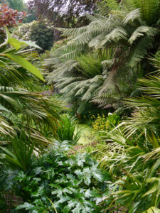 Der Wassergarten ist harmonisch und subtropisch in Trebah angelegt