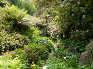 Der Wassergarten in Trebah